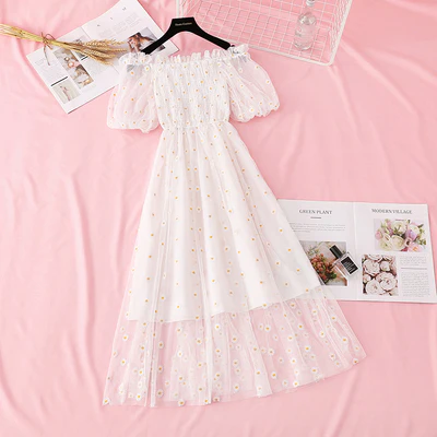 Daisy Embroidered Mesh Dress  HA0791 - Image 5